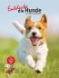 Preview: Entdecke die Hunde